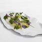 Verdura Platters
