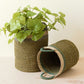 S/2 Olive Baskets with Handle