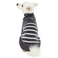 STRIPED SWEATER by Blueberry Pet