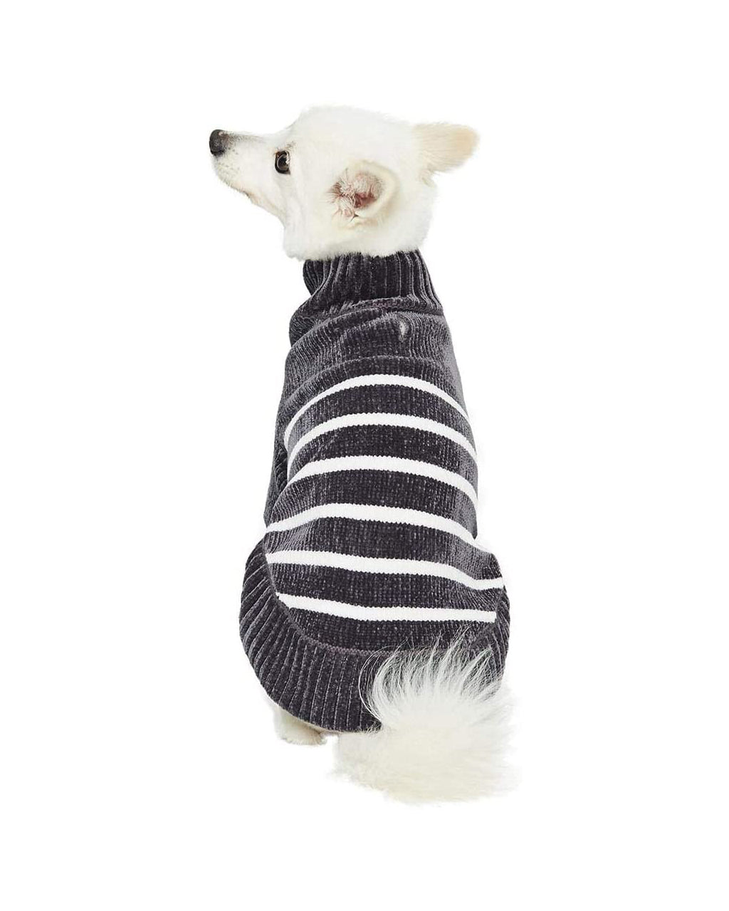 STRIPED SWEATER by Blueberry Pet
