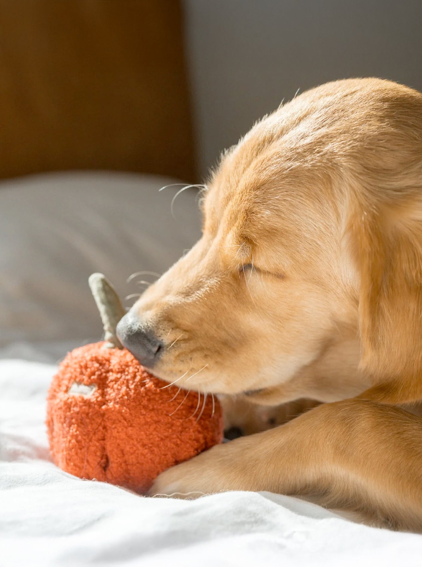 PEPPER - ENRICHMENT DOG TOY