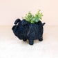 Baby Schnauzer Planter