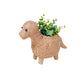 Baby Brontosaurus Planter - Handmade Pots | LIKHÂ