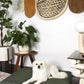 Sage | Modern Dog Bed or Bed Cover