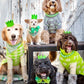 BRIGHT PARTY CROWNS