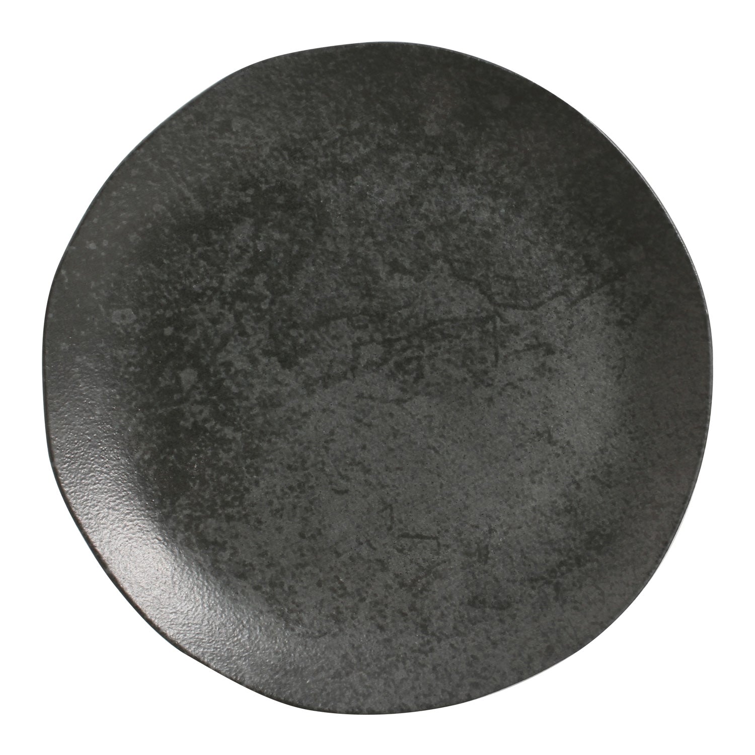 Dinner Plate Set of 6