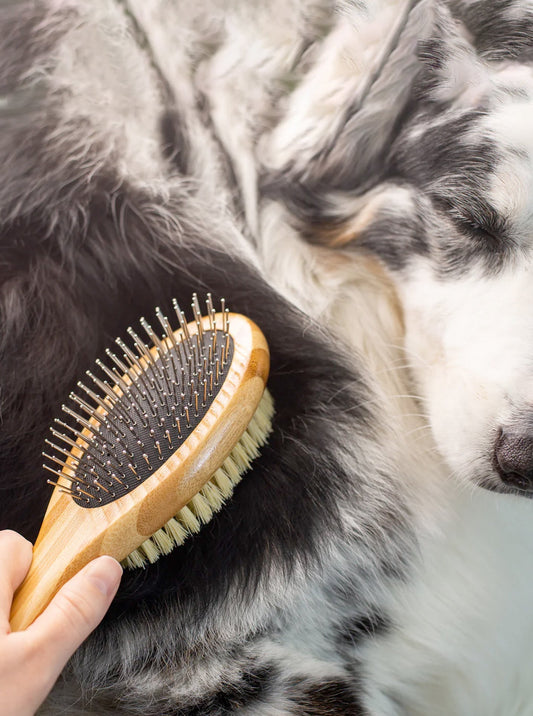 BAMBOO PET GROOMING BRUSH