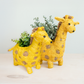Baby Giraffe Planter