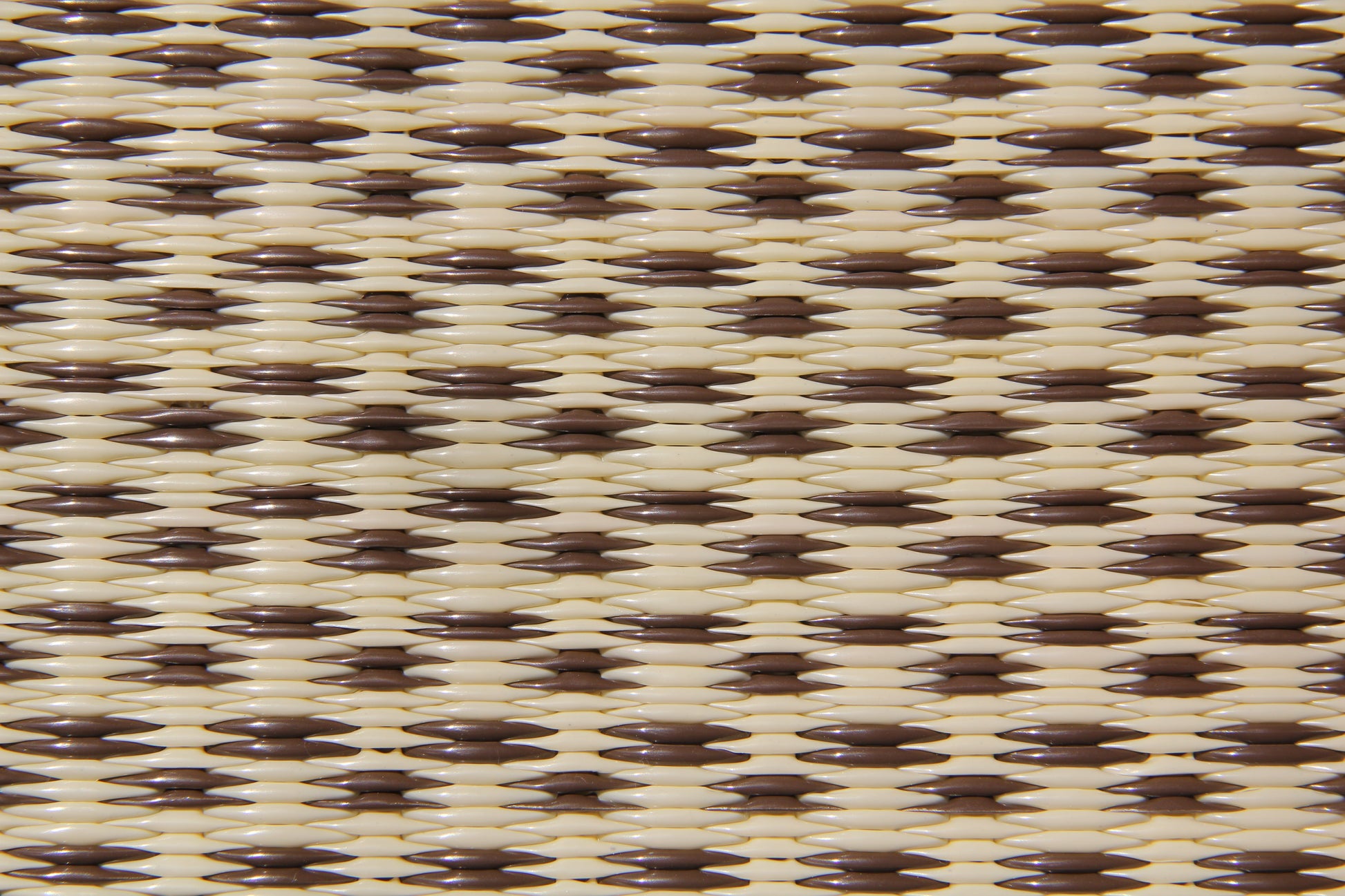 Basic Cream & Brown