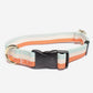 ORANGE STRIPE DOG COLLAR by Caroline Gardner