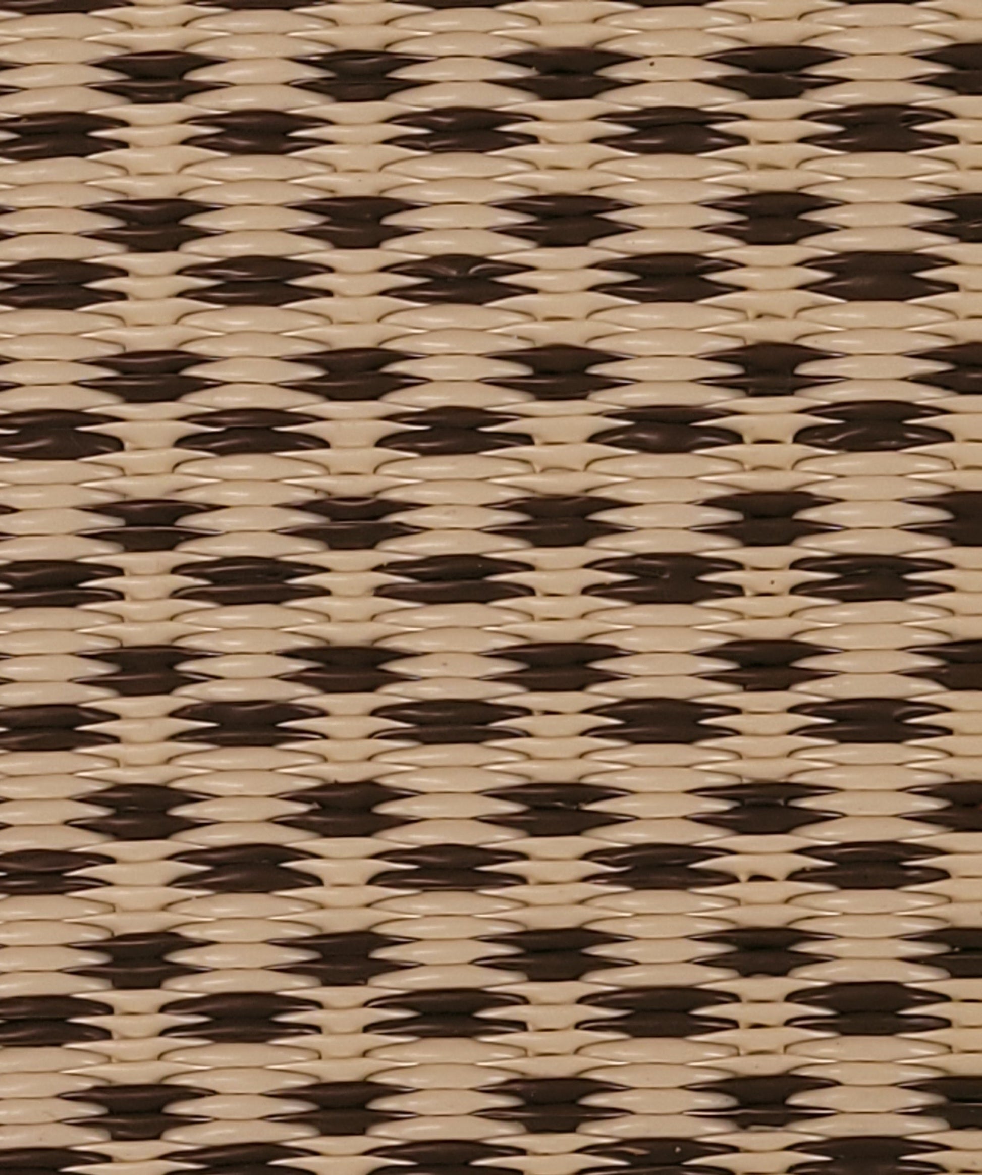 Basic Cream & Brown