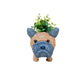 Baby French Bulldog Planter