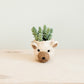 Bear Planter - Animal Head Planters | LIKHÂ