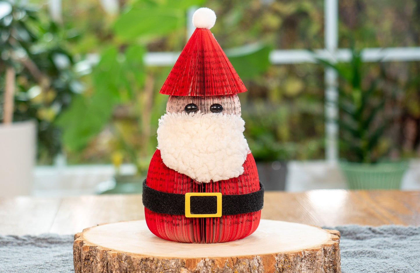 Santa Claus
