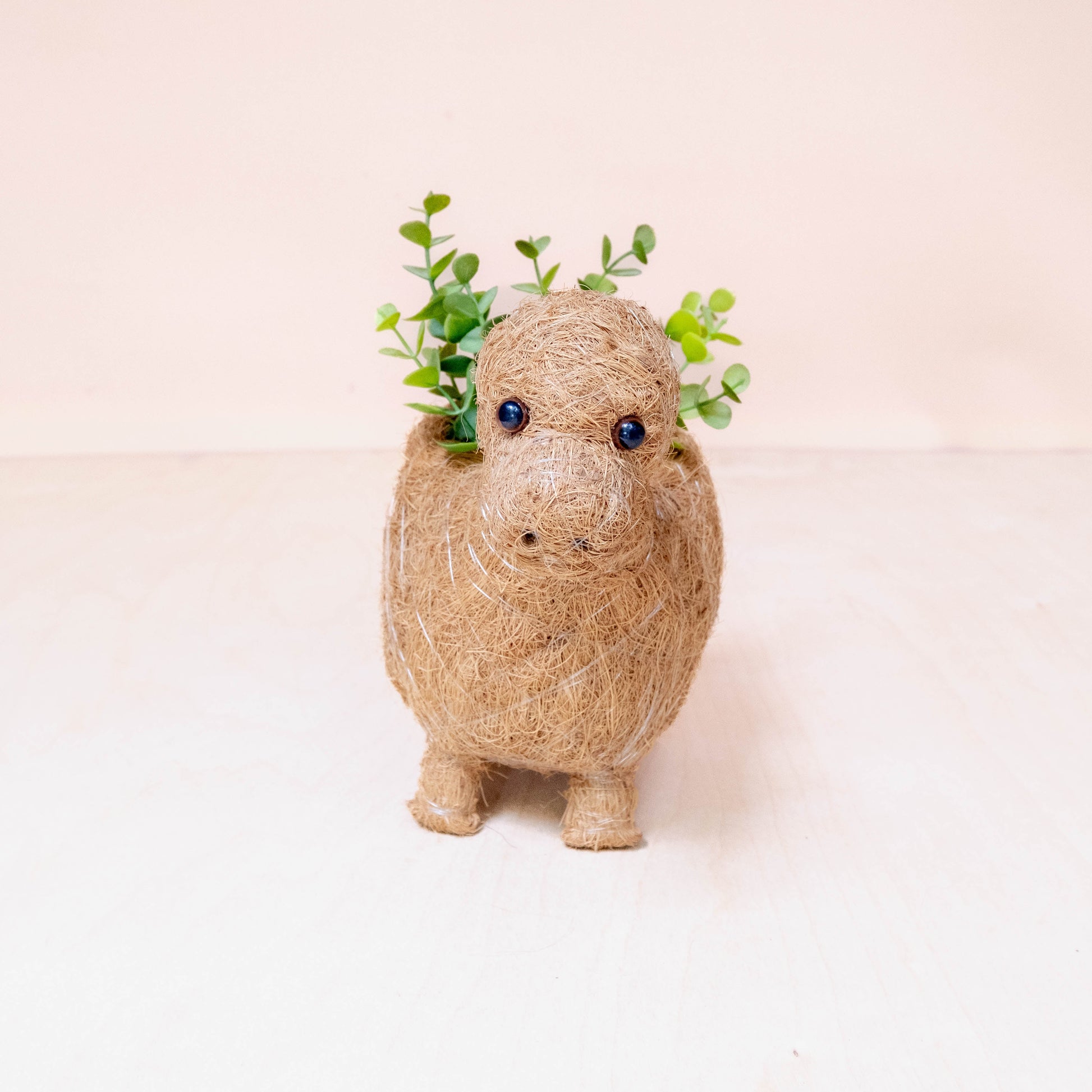 Baby Brontosaurus Planter - Handmade Pots | LIKHÂ