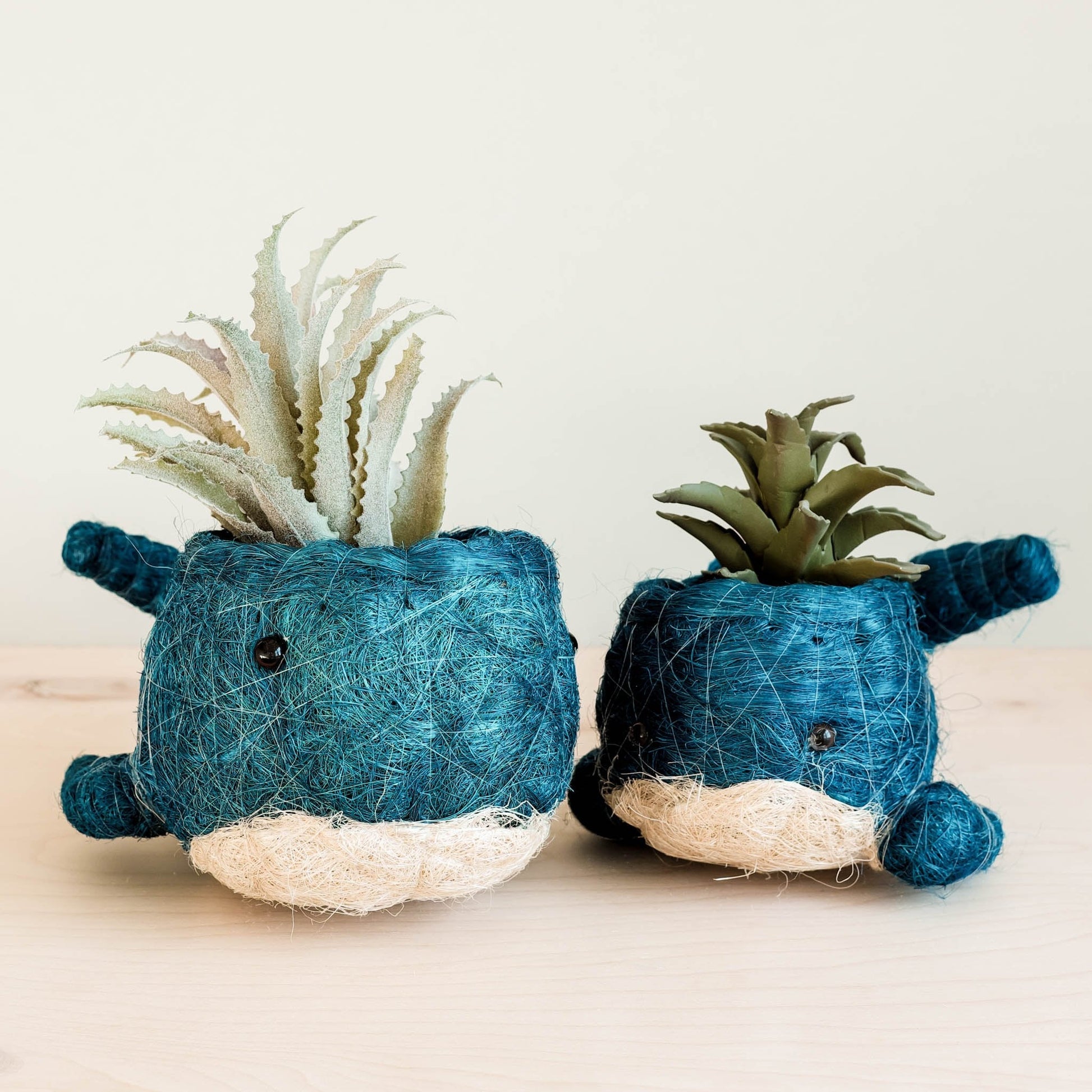 Baby Whale Flower Pot - Coco Coir Pots | LIKHÂ
