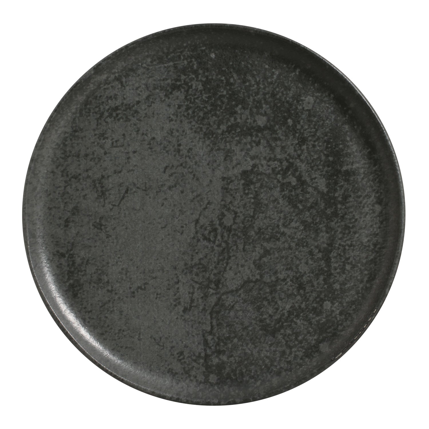 Dinner Plate Set of 6