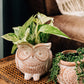 Owl Planter