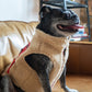 REVERSIBLE TEDDY VEST by Lucy & Co
