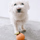 DOGGY PEACH