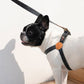 ADVENTURE HARNESS by Howlpot