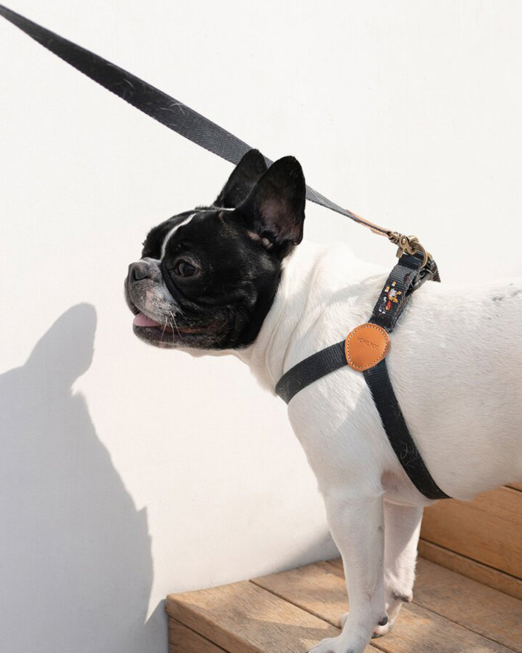 ADVENTURE HARNESS by Howlpot