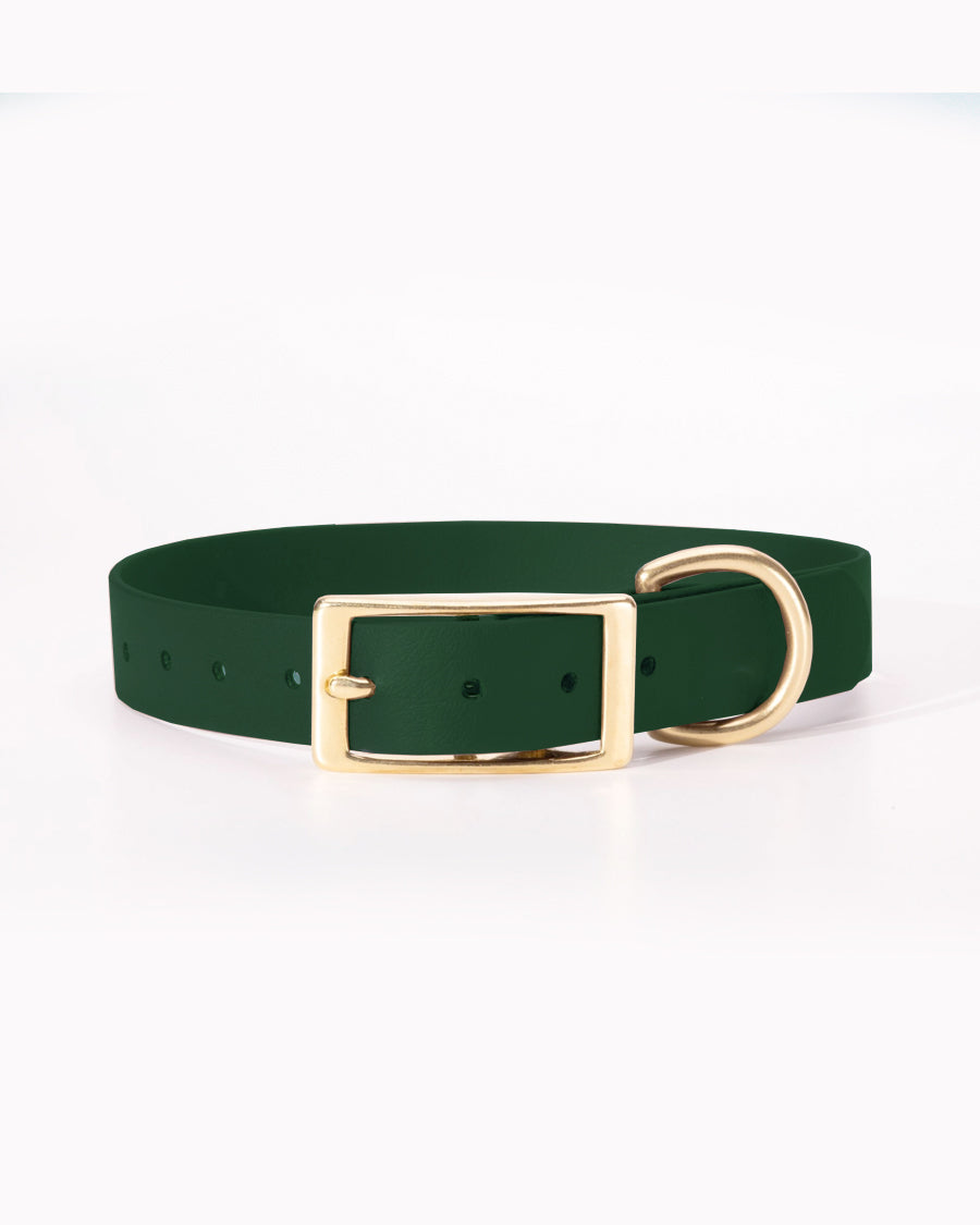CLASSIC BRASS COLLAR by High Tail Hikes