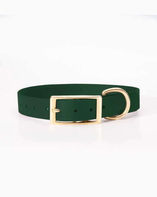 CLASSIC BRASS COLLAR by High Tail Hikes