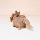 Baby Triceratops Planter