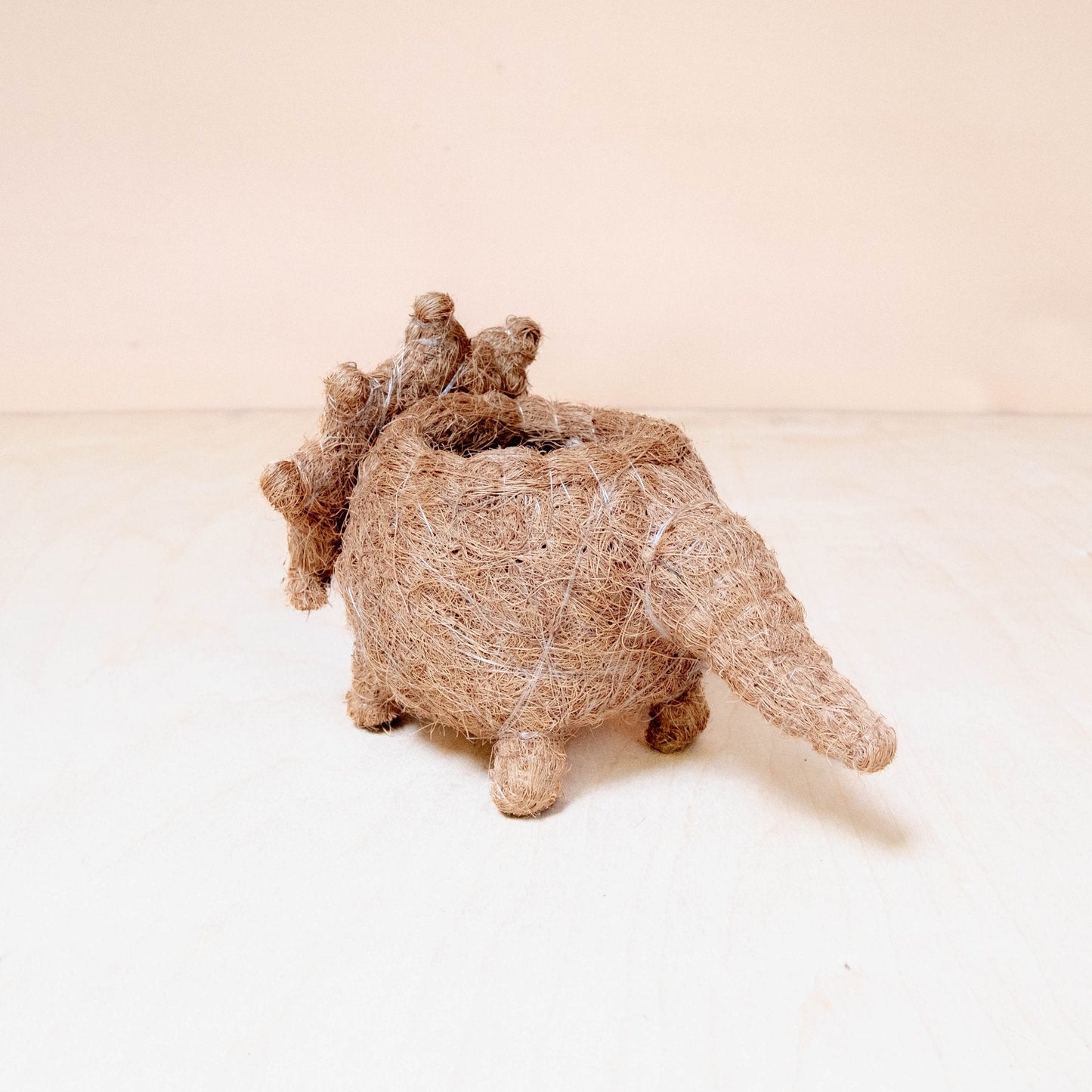 Baby Triceratops Planter