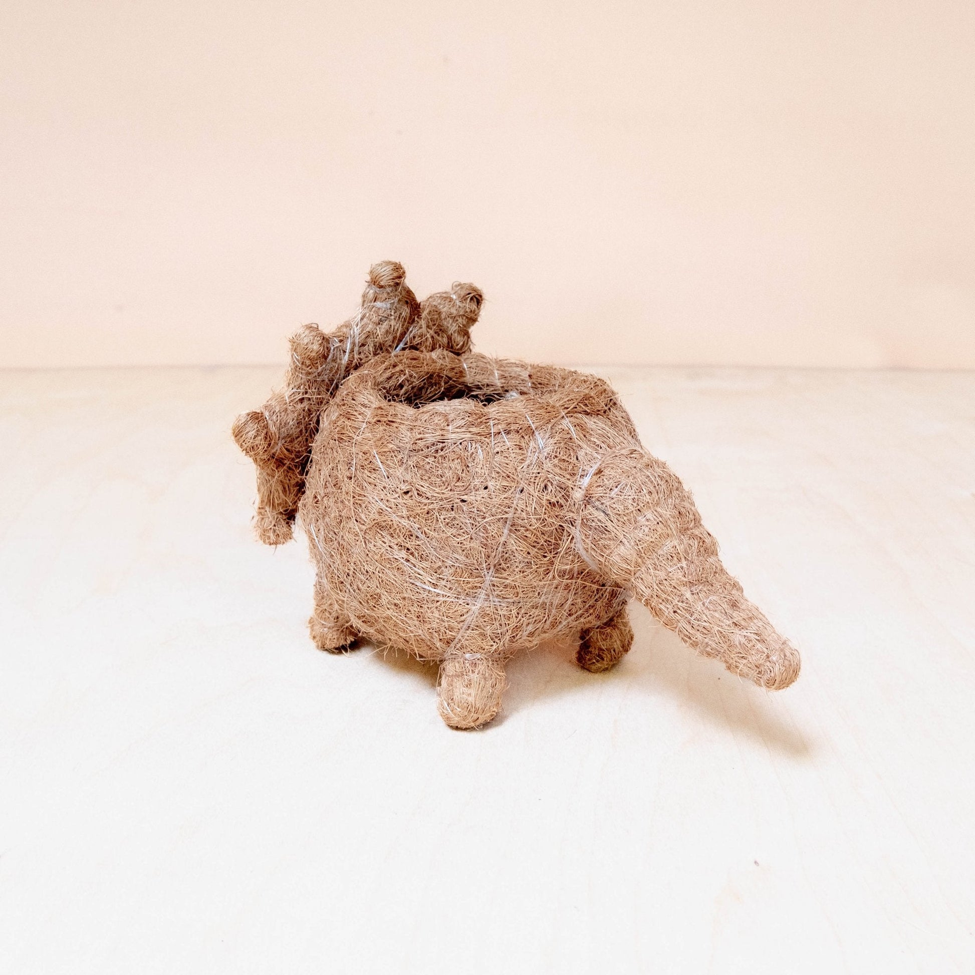 Baby Triceratops Planter