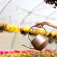 Antique Copper Watering Can