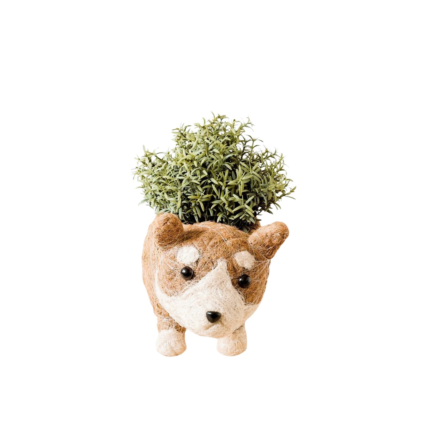Corgi Succulent Pot