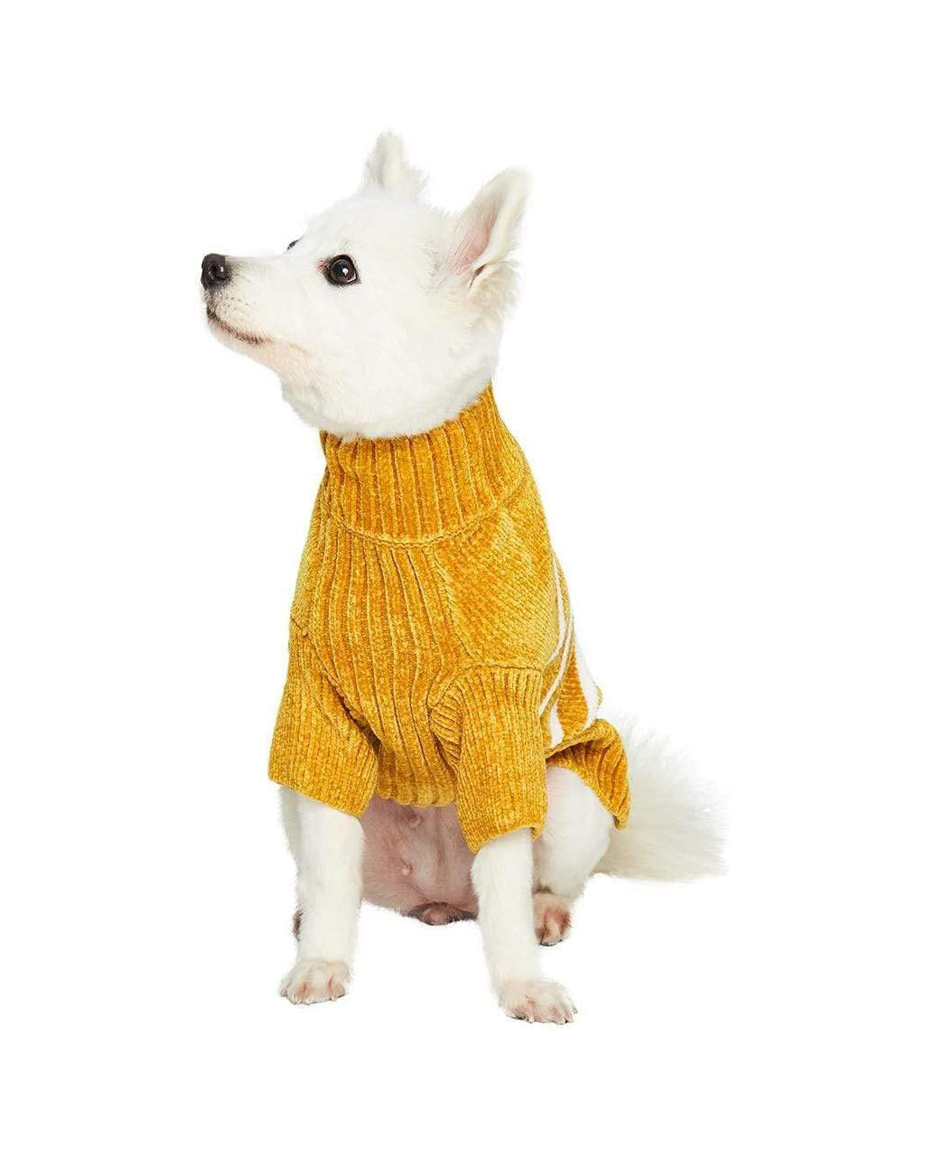 STRIPED SWEATER by Blueberry Pet