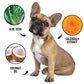 DOGDAYS Waterless Foaming Shampoo for Dogs & Cats -—No-Rinse, Odor-Eliminating Cleanser