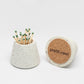 MATCHSTICK HOLDER By pretti.cool