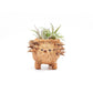 Baby Hedgehog Plant Pot - Handmade Planters | LIKHÂ