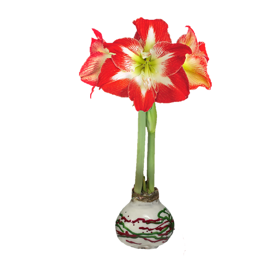 Minerva White Wax Red/Green Lacquer Splatter 36+ 18 Bulbs