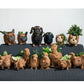 Baby Brontosaurus Planter - Handmade Pots | LIKHÂ