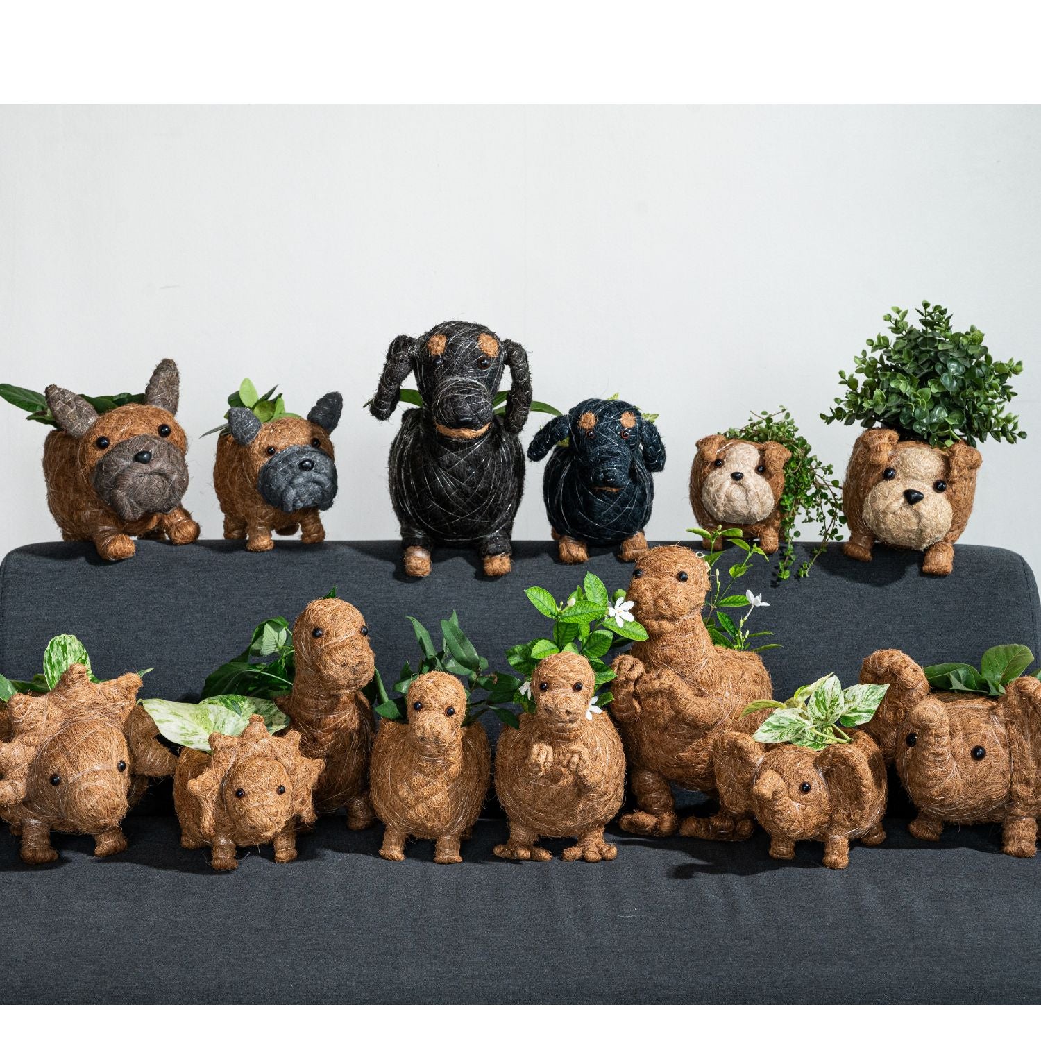 Baby Brontosaurus Planter - Handmade Pots | LIKHÂ