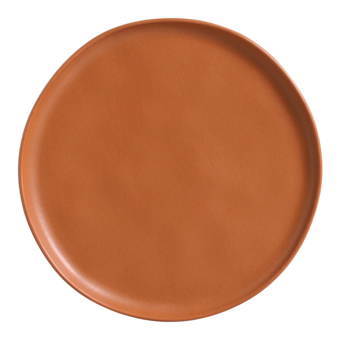 Dinner Plate Set of 6