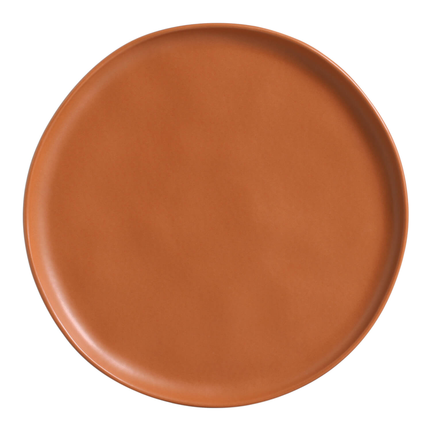 Dinner Plate Set of 6