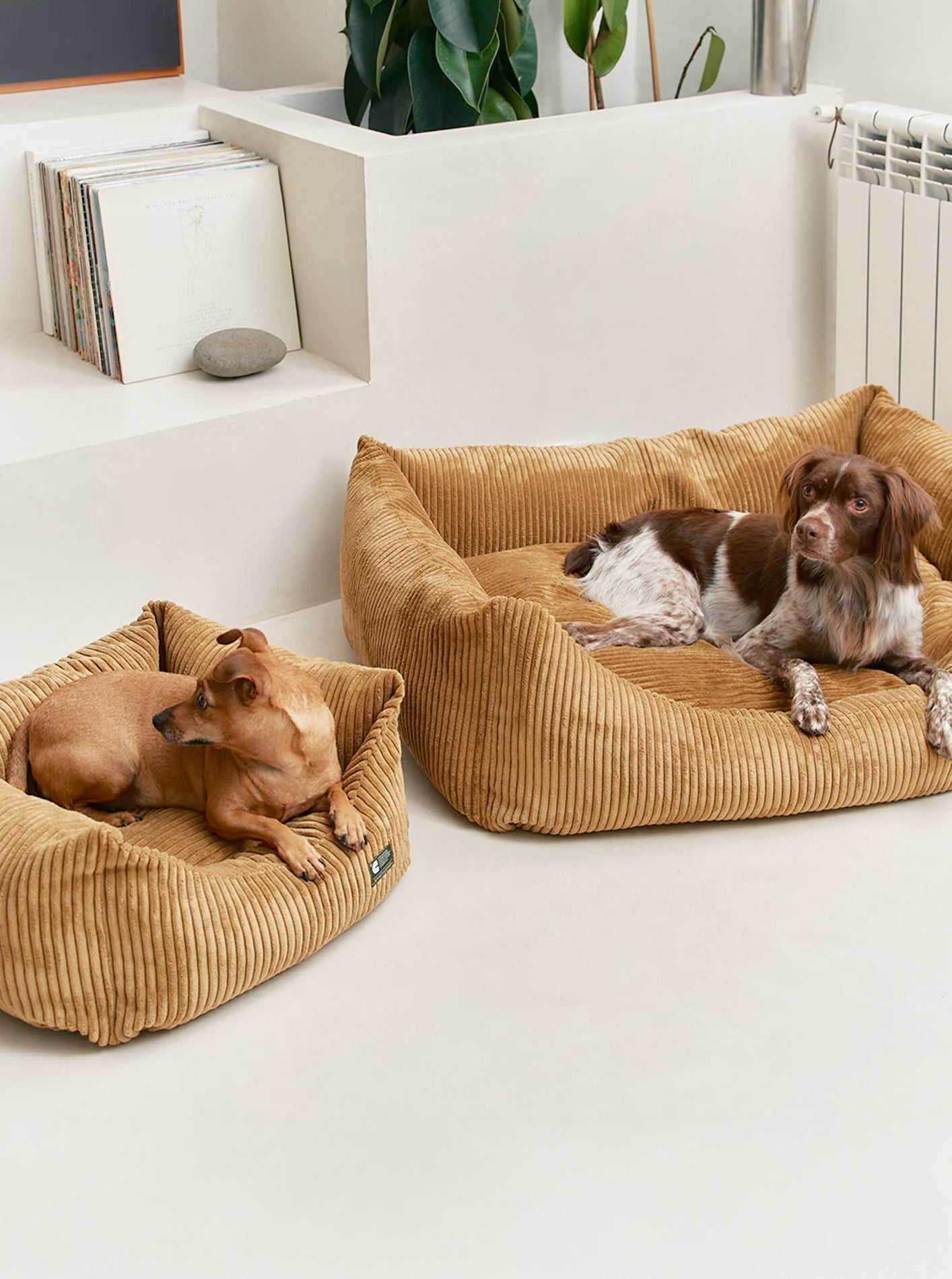 CORDUROY DOG BED - SNOZY