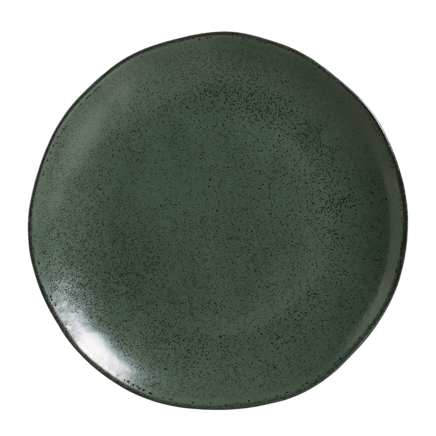 Dinner Plate Set of 6