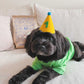 PAWTY HAT - Green number