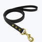 CLASSIC BRASS LEASH by High Tail Hikes