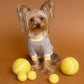 TENNIS TEE