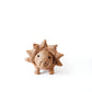 Baby Triceratops Planter