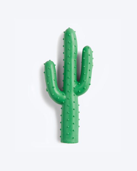 CACTUS by Waggo