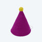 PAWTY HAT